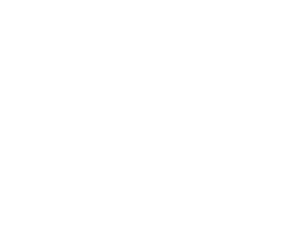 Mr.Linden | Seattle House DJ